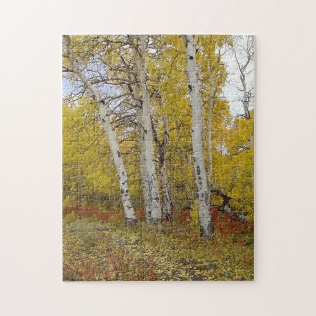 Aspen Splendor Nature Puzzle (Vertikal)