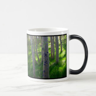 Aspen-Tasse Verwandlungstasse