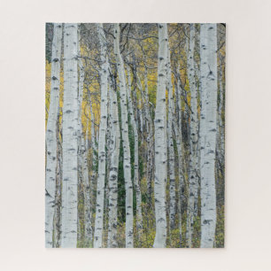 Aspen Tree Trunks   Aspen, Colorado Puzzle