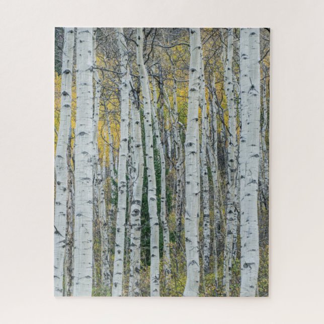 Aspen Tree Trunks | Aspen, Colorado Puzzle (Vertikal)
