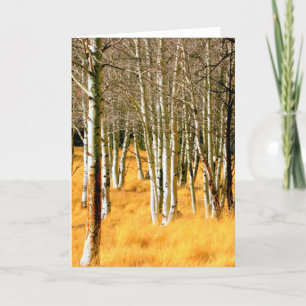aspen trees greeting card karte