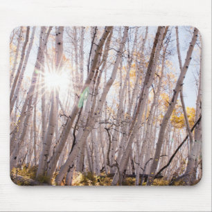 Aspen Trees Mousepad