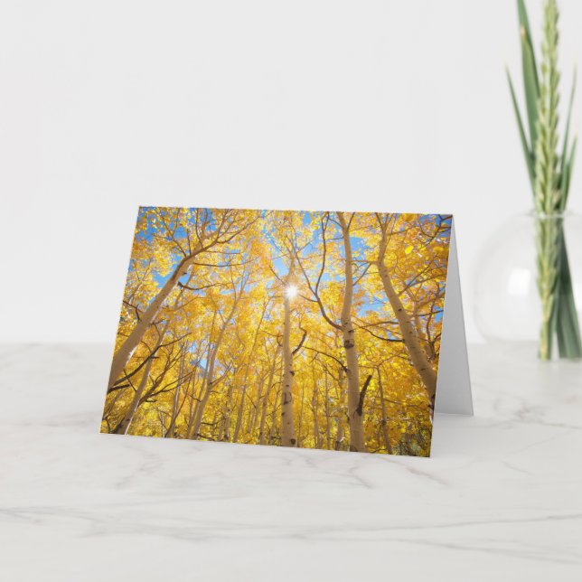 Aspen Trees | Sierra Nevada, CA Karte (Vorderseite)