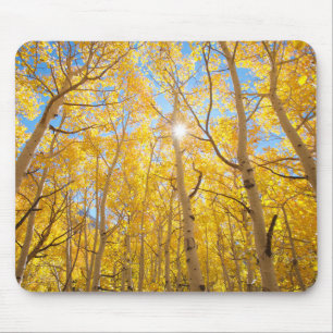 Aspen Trees   Sierra Nevada, CA Mousepad