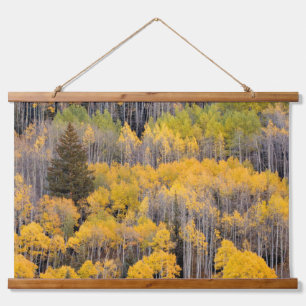 Aspen Trees   White River National Forest Wandteppich Mit Holzrahmen