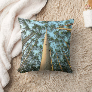 Aspen Trunks und Blätter, Yukon Kissen