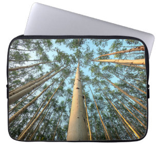 Aspen Trunks und Blätter, Yukon Laptopschutzhülle