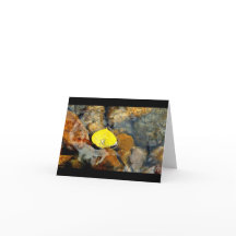 Aspen u. die leere Karte des Wassertropfens