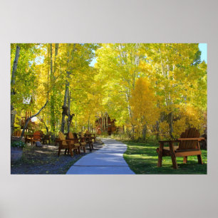 "Aspen Walkway" Herbstfarben, Hope Valley CA. Poster