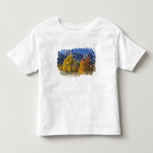 Aspenbäume mit dem Teton-Gebirge Kleinkind T-shirt