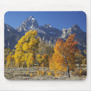 Aspenbäume mit dem Teton-Gebirge Mousepad