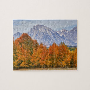 Aspenbäume mit dem Teton-Gebirge Puzzle