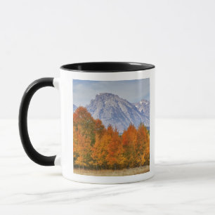 Aspenbäume mit dem Teton-Gebirge Tasse