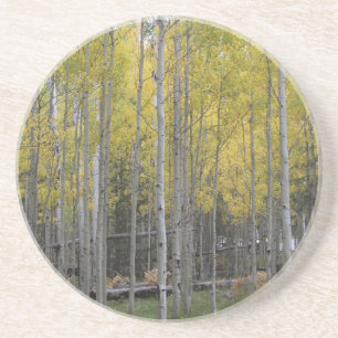 Aspens gelbes Glühen Getränkeuntersetzer