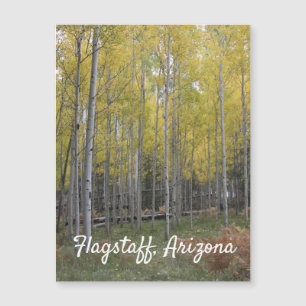 Aspens gelbes Glühen Magnetkarte