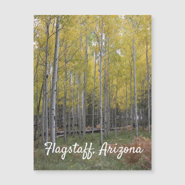 Aspens gelbes Glühen Magnetkarte (Vorderseite)