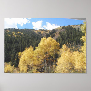 Aspens in Herbst, auf der Shultz Pass Road in der  Poster