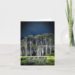 Aspens Note Card
