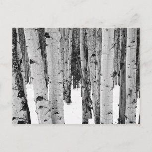 Aspens Postkarte