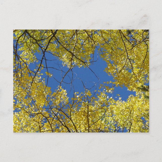 Aspens Postkarte (Vorderseite)