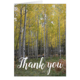 Aspen's Yellow Glow Danke