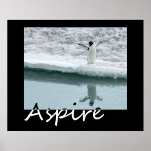 Aspire Poster