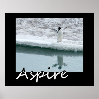 Aspire Poster