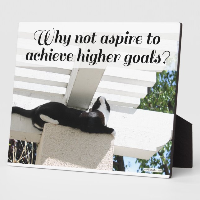 Aspire to Higher Goals Motivierend Cat Fotoplatte (Seite)