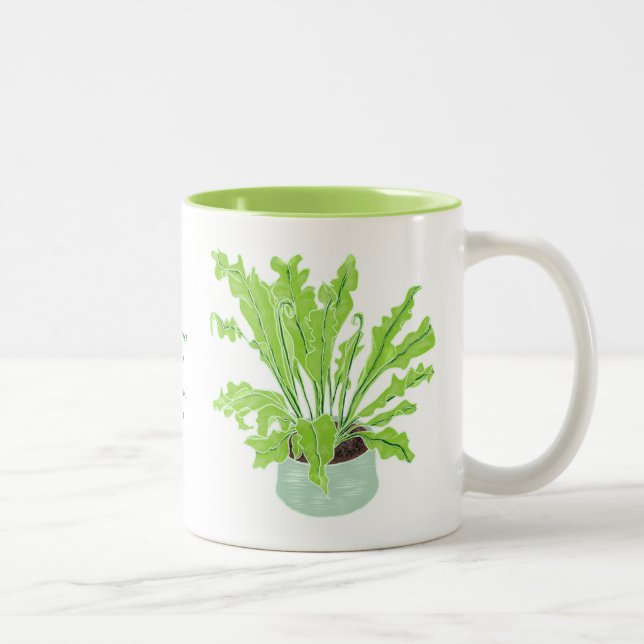 Asplenium Bird's Nestfarn - zeichnend auf Weiß. Zweifarbige Tasse (Rechts)