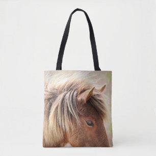 Assateage Wild Horse