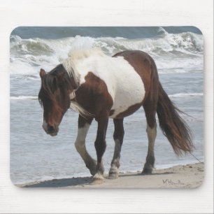 Assateague Insel-Pony Mousepad