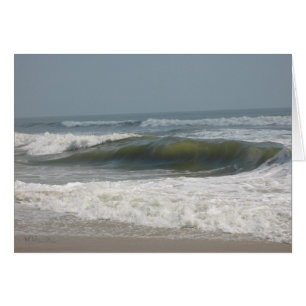 Assateague Insel-Staatsangehörig-Küste