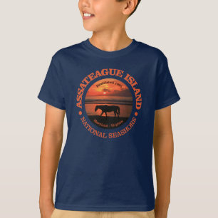 Assateague Insel-Staatsangehörig-Küste T-Shirt