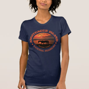 Assateague Insel-Staatsangehörig-Küste T-Shirt