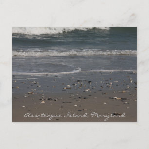 Assateague Island Beach Postcard Postkarte