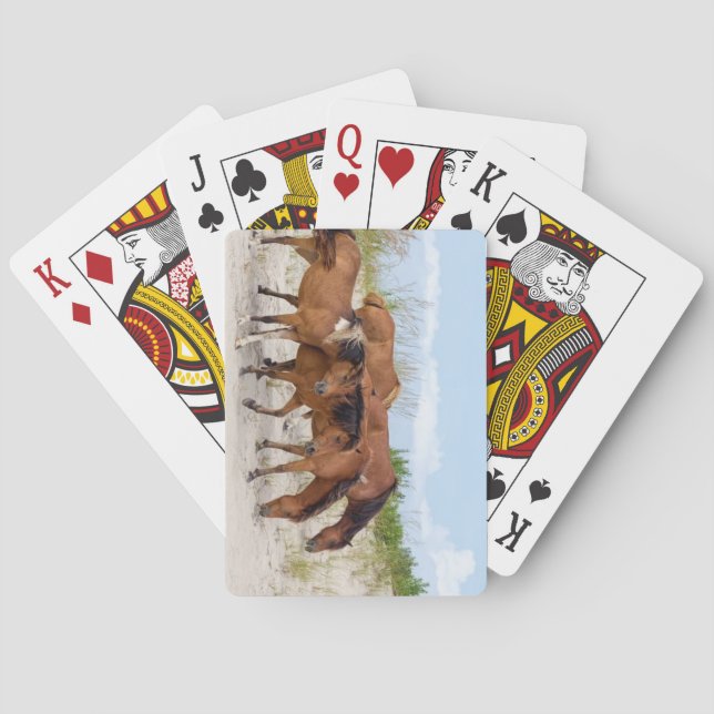 Assateague Island, Maryland Spielkarten (Rückseite)