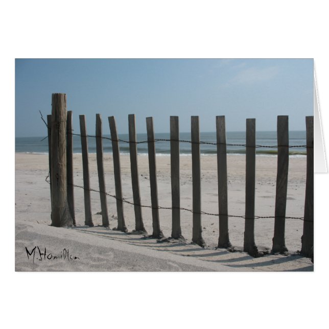 Assateague Island National Seashore (Vorderseite (Horizontal))