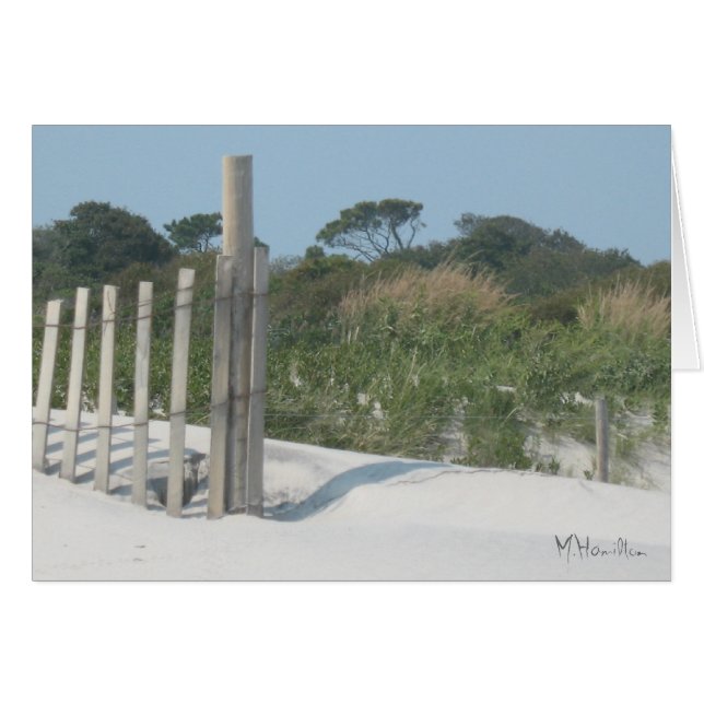 Assateague Island National Seashore (Vorderseite (Horizontal))