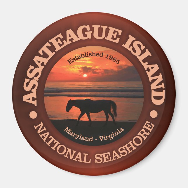 Assateague Island National Seashore Magnet (Vorne)
