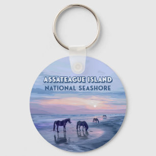 Assateague Island National Seashore Pferde Vintag Schlüsselanhänger