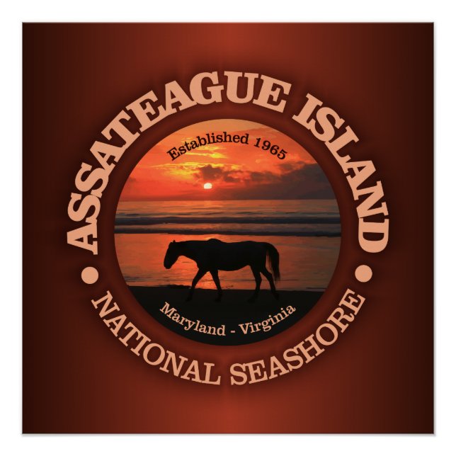 Assateague Island National Seashore Poster (Vorderseite)