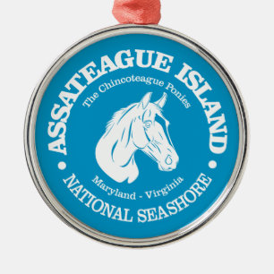 Assateague Island (Pony) Ornament Aus Metall
