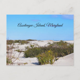Assateague Island Postcard Postkarte