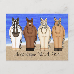 Assateague Island VA Chincoteague Ponys Postcard Postkarte