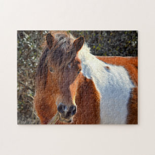 Assateague Pinto Mare Macky Puzzle