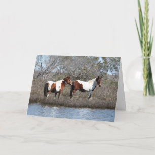 Assateague Ponies, vielen Dank Feiertagskarte
