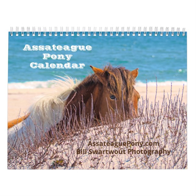 Assateague Pony Kalender (Titelbild)