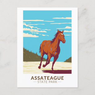 Assateague Staat Park Maryland Abzeichen Postkarte