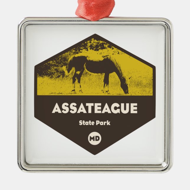 Assateague Staat Park Maryland Ornament Aus Metall (Vorne)