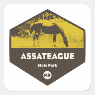 Assateague Staat Park Maryland Quadratischer Aufkleber